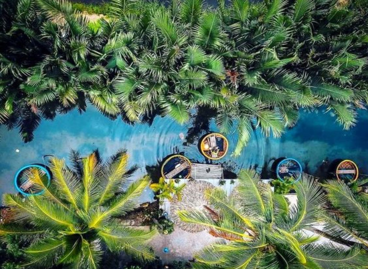Discover The Amazing Beauty Of Bay Mau coconut forest