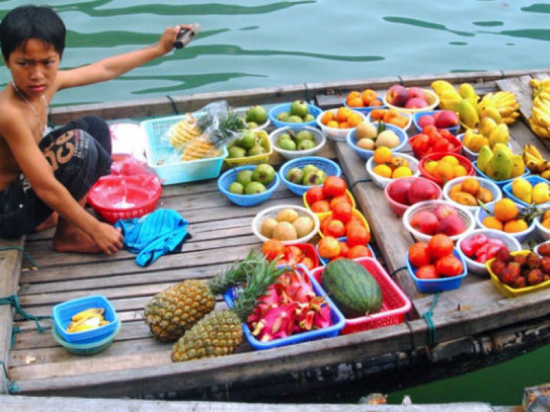 tour travel vietnam