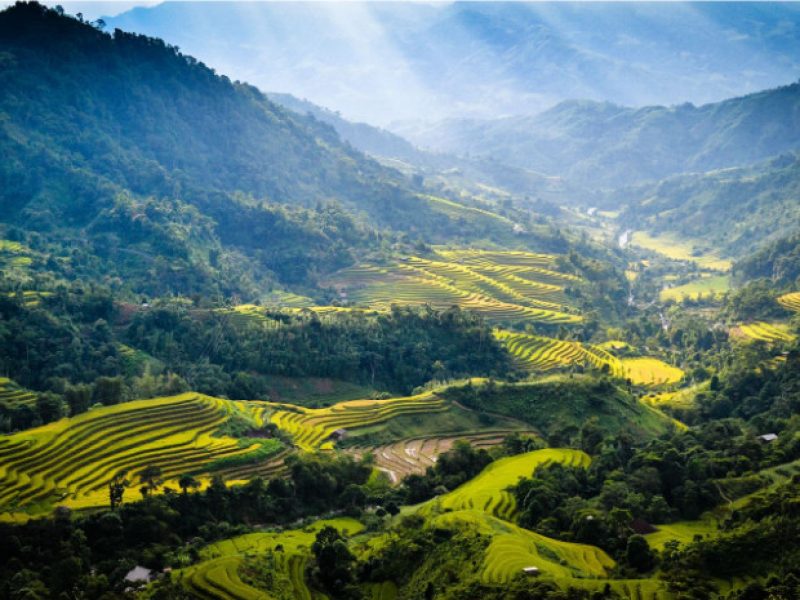 tour travel vietnam