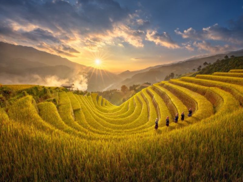 tour travel vietnam