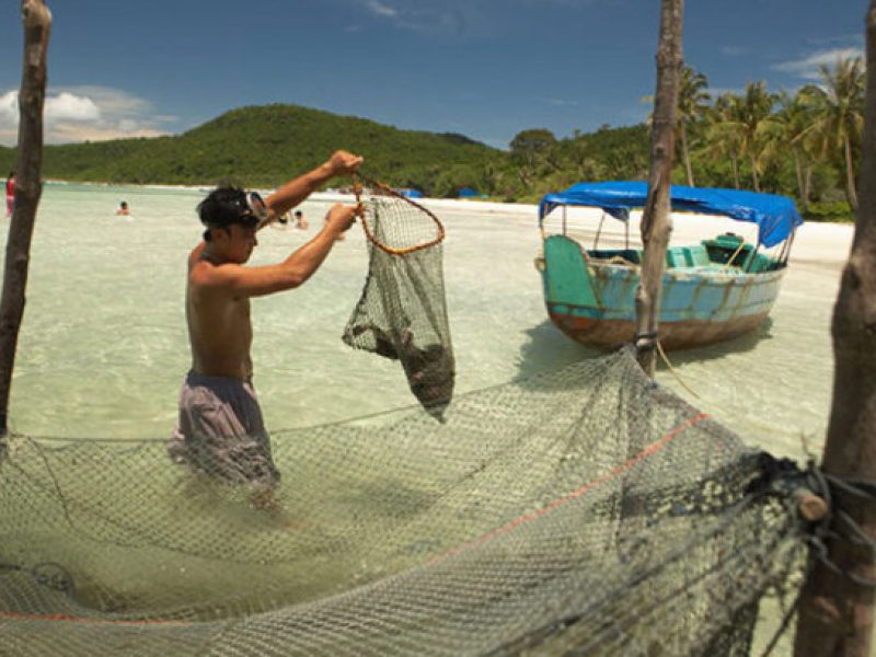 tour travel vietnam