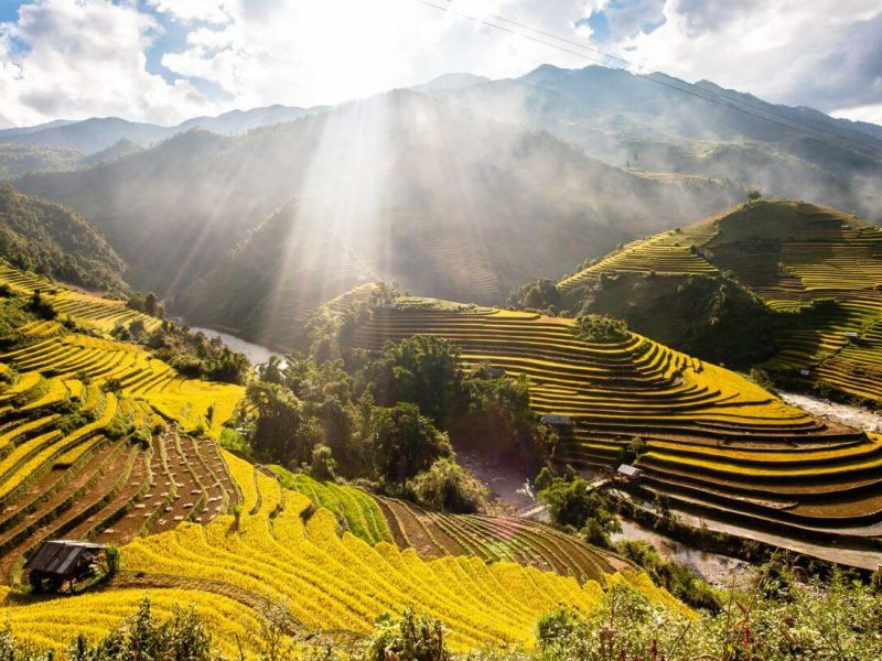 vietnam tours from usa
