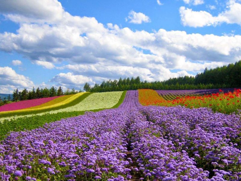 Dalat tour