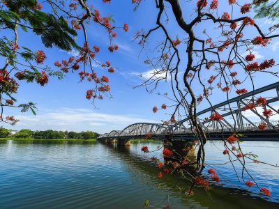 ninh binh food