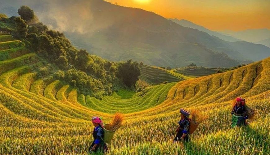 Top 10 Most Interesting Experiences In Pu Luong Vietnam