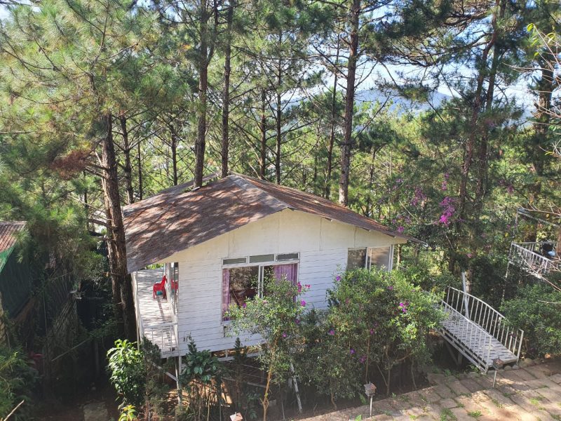 homestays da lat