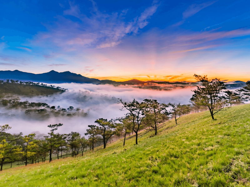 best of vietnam tour