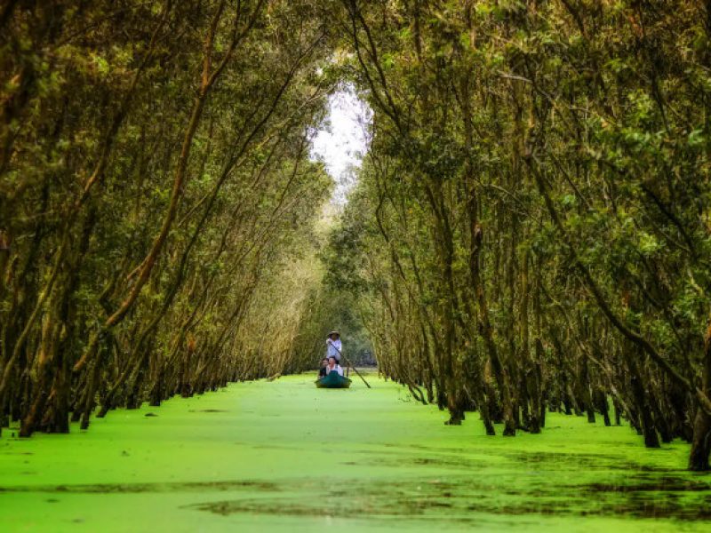 best of vietnam tour