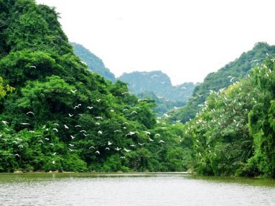 ways to tour halong bay