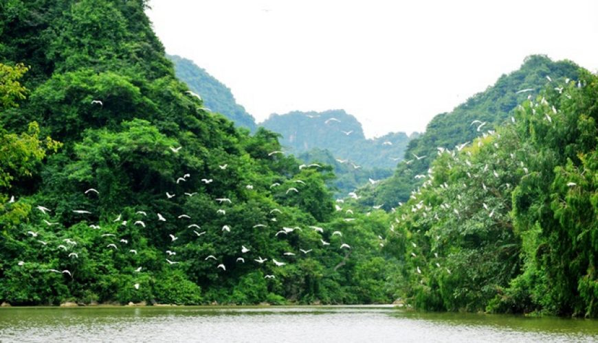 Thung Nham Bird Park Ninh Binh – Detailed Exploration Experience 2025