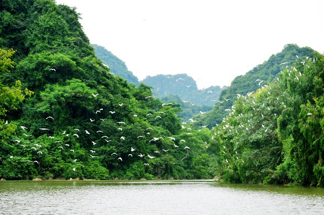 Thung Nham Bird Park Ninh Binh – Detailed Exploration Experience 2025