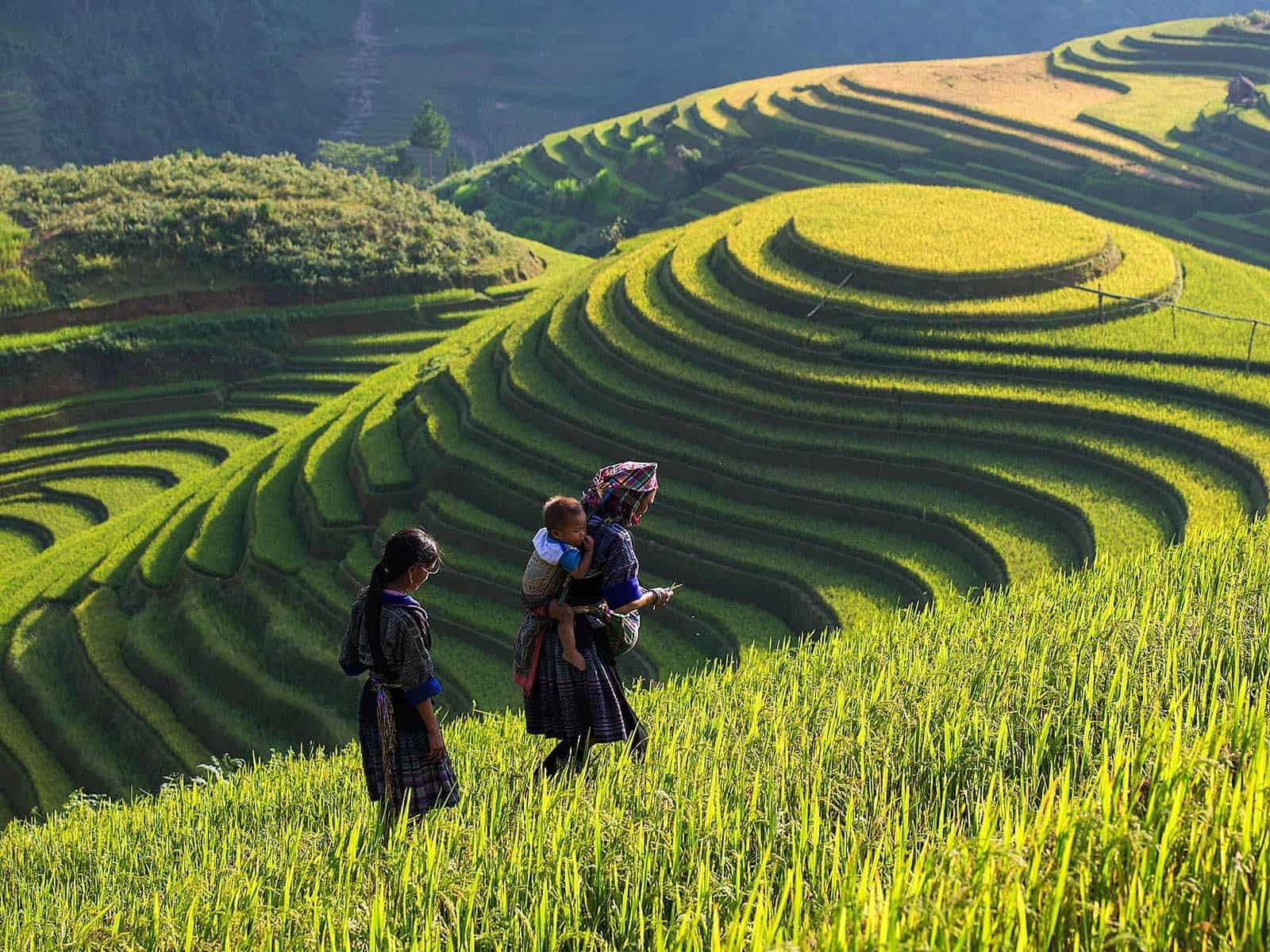 Day 1: Hanoi - Sapa - Lao Chai - Ta Van | First day in your Sapa travel itinerary