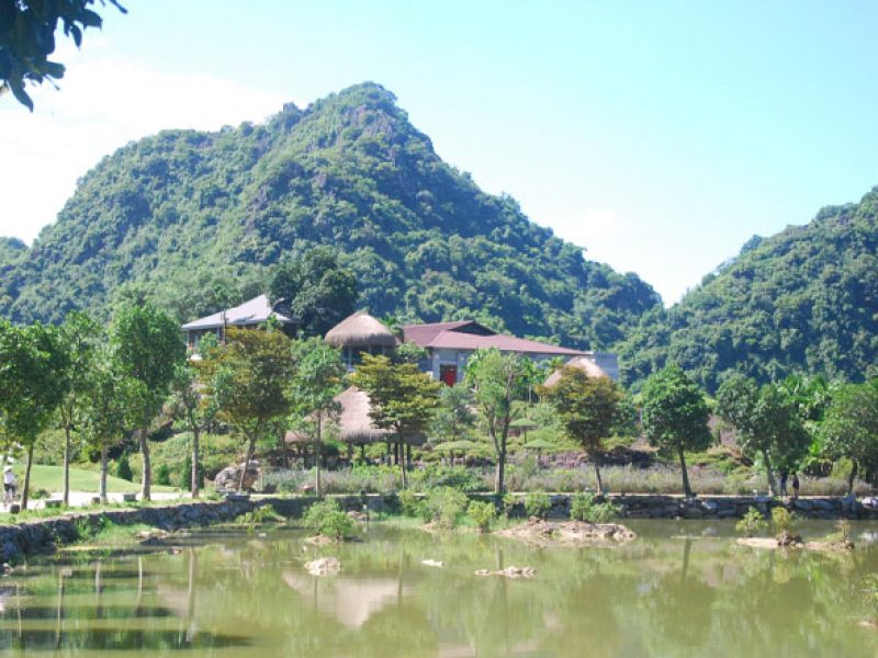 bird park ninh binh