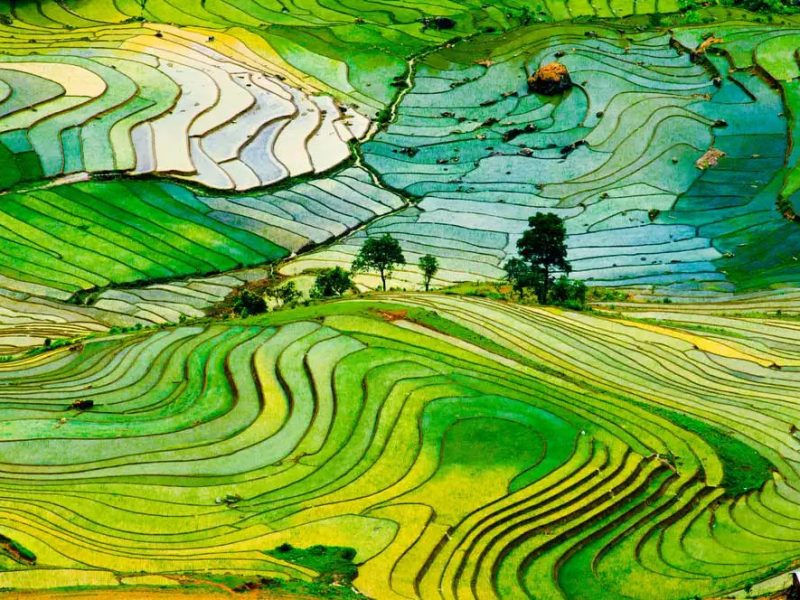 do i need a visa for vietnam from uk