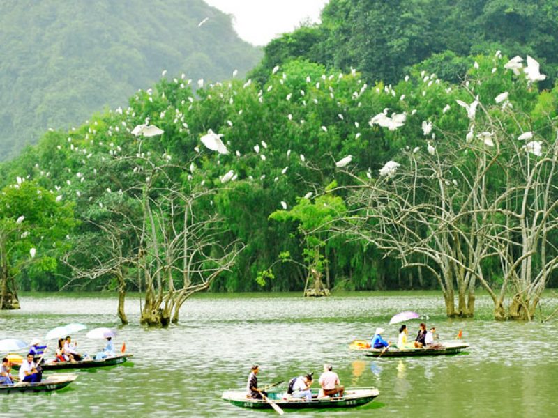 bird park ninh binh