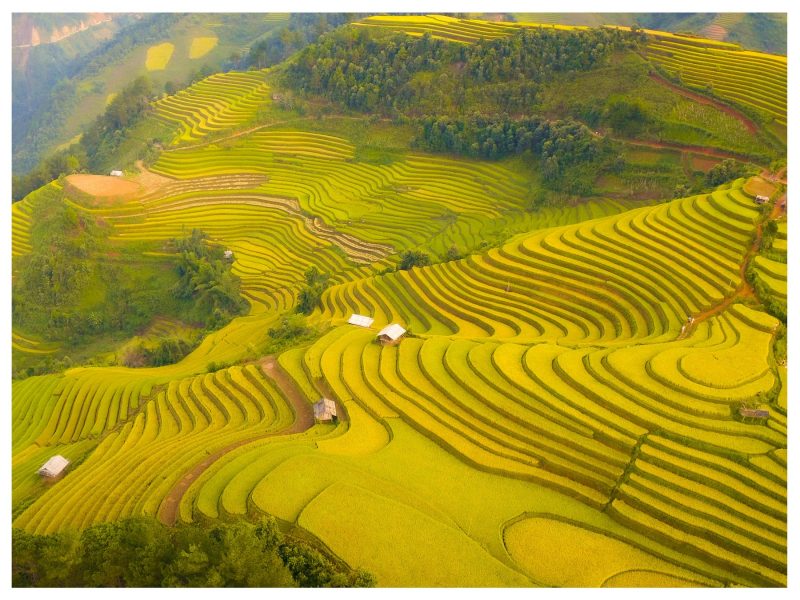 mu cang chai Vietnam