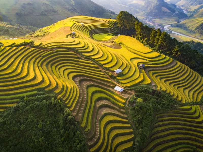 mu cang chai Vietnam
