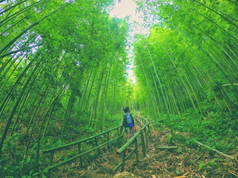 mu cang chai Vietnam