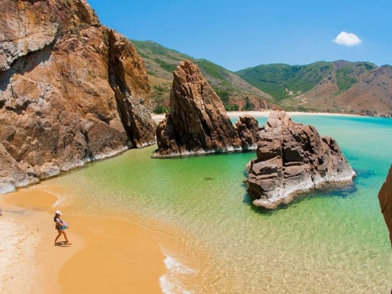 train from da nang to quy nhon
