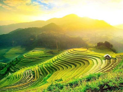 ninh binh tour 2 days 1 night