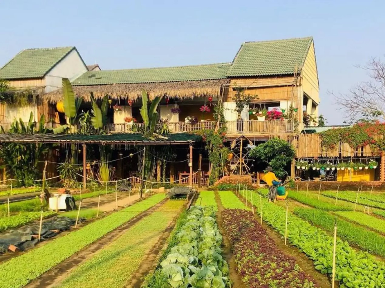 Explore Hoi An Half Day Tour To Visit Beautiful Tra Que Village