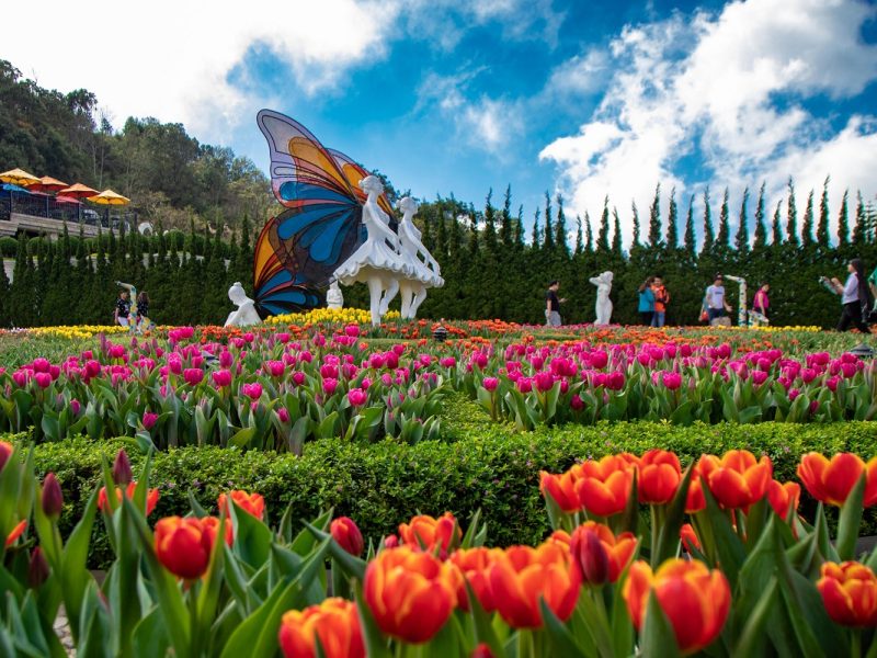 ba na hills tour from hoi an