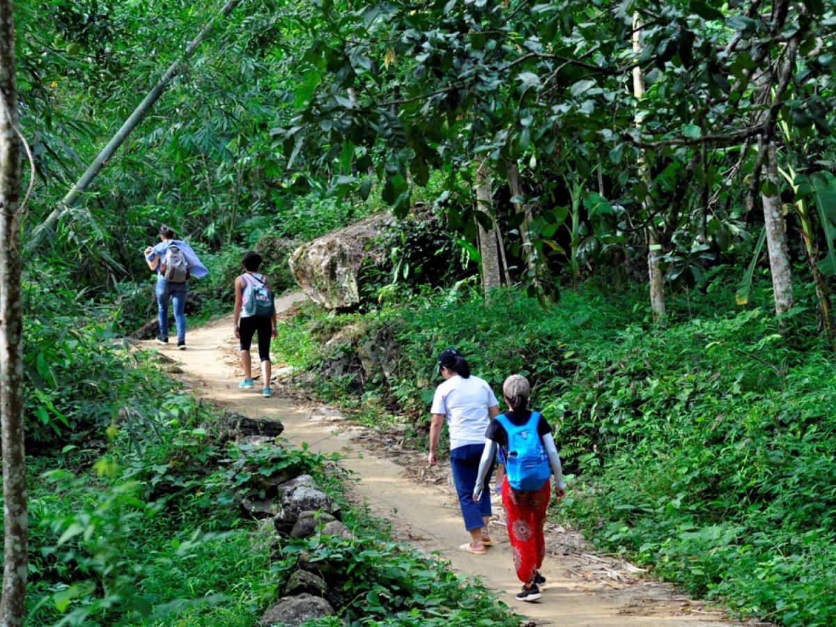 Explore The Top 8 Most Attractive Vietnam Hiking Tours