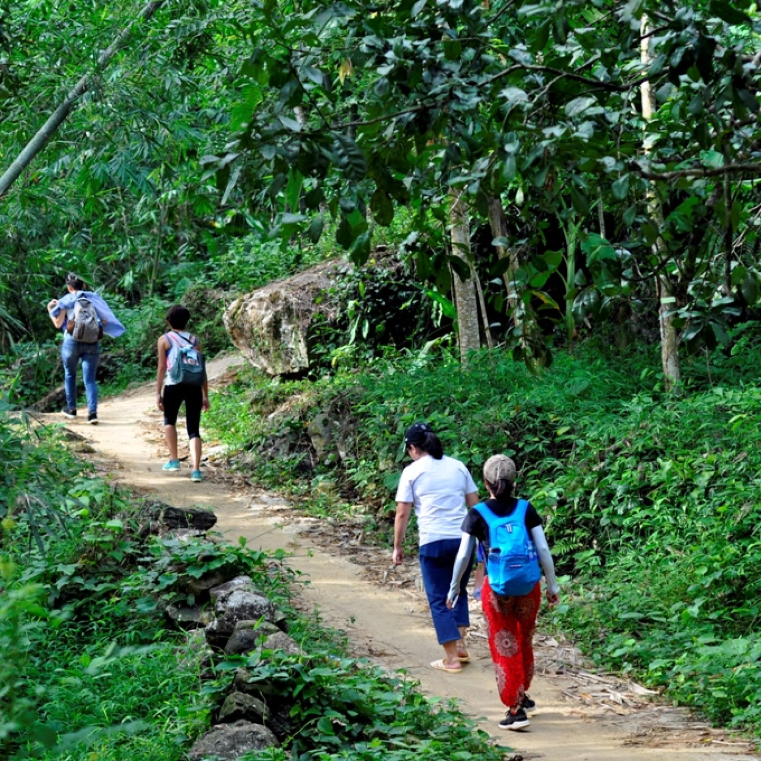 Explore The Top 8 Most Attractive Vietnam Hiking Tours