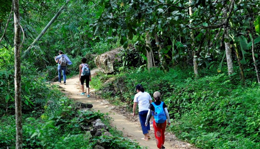 Explore The Top 8 Most Attractive Vietnam Hiking Tours