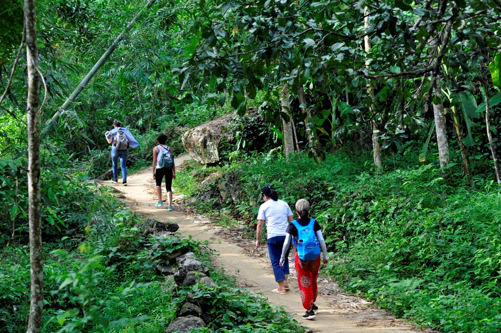 Explore The Top 8 Most Attractive Vietnam Hiking Tours