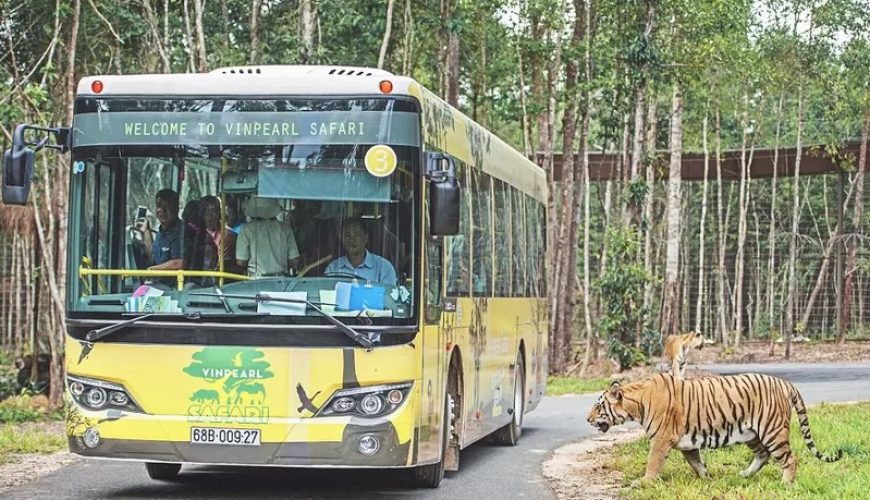 Discover The Top 5 Most Interesting Wild Tour Vietnam