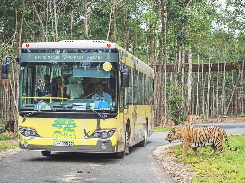 Discover The Top 5 Most Interesting Wild Tour Vietnam