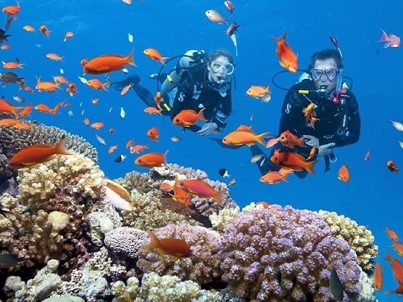 Nha Trang Travel Guide