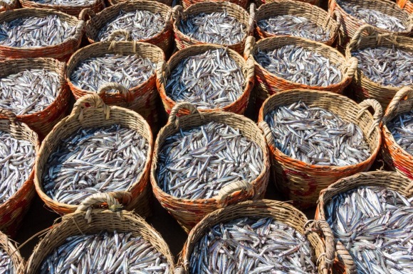 fish sauce phu quoc
