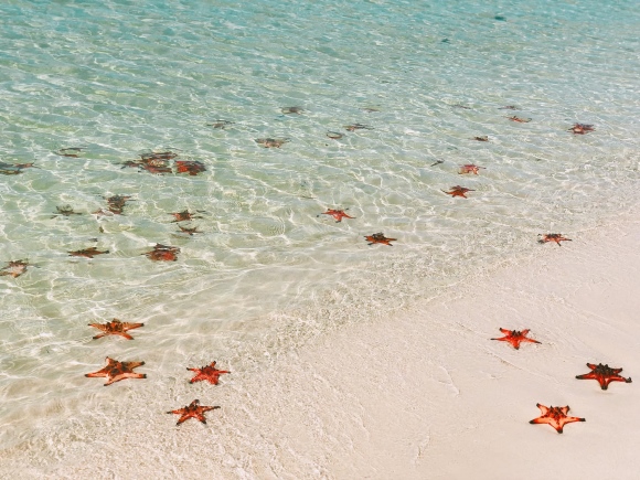 best time to go phu quoc