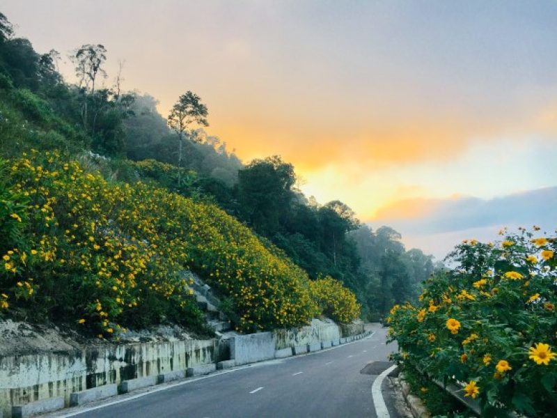 Day trip to Ba Vi National Park from Hanoi