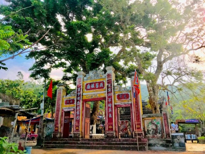 hoi an to cu lao cham