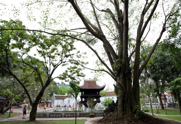 one pillar pagoda hanoi