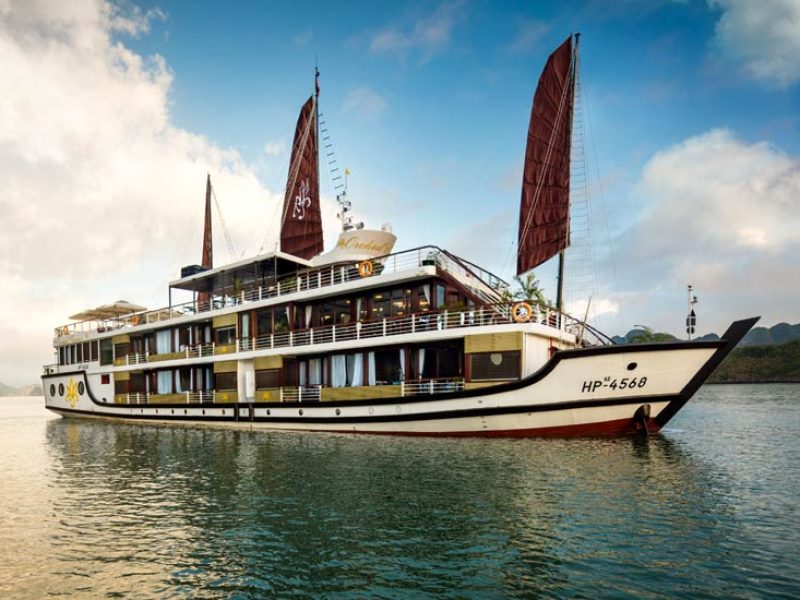 orchid cruise Halong bay