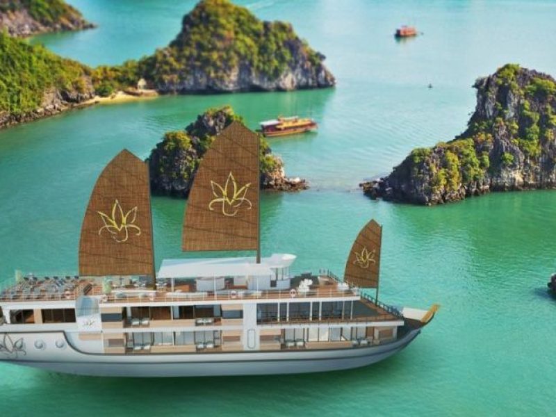 orchid cruise Halong bay