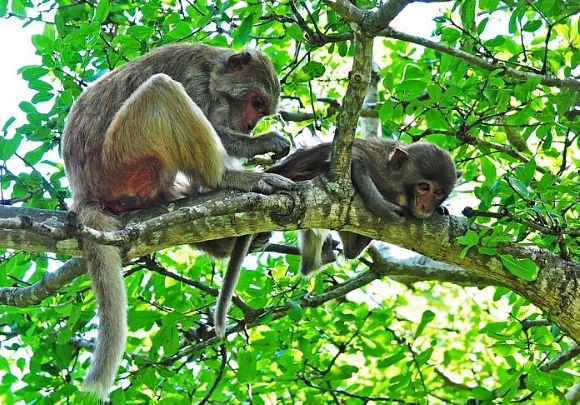 Phu Quoc National Park