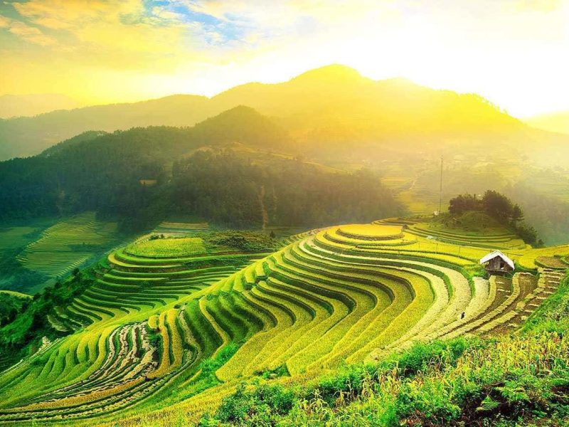 Travel Vietnam