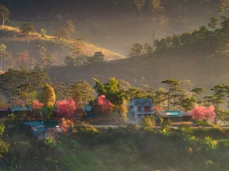Dalat - Expiring four seasons in a day 