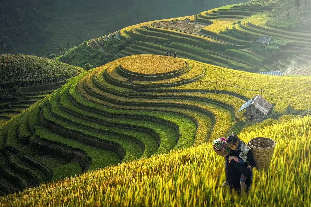 All Inclusive Vietnam Tour Packages​
