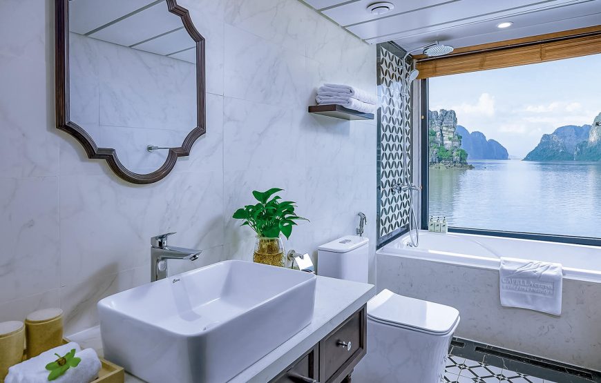 Oasis Suite