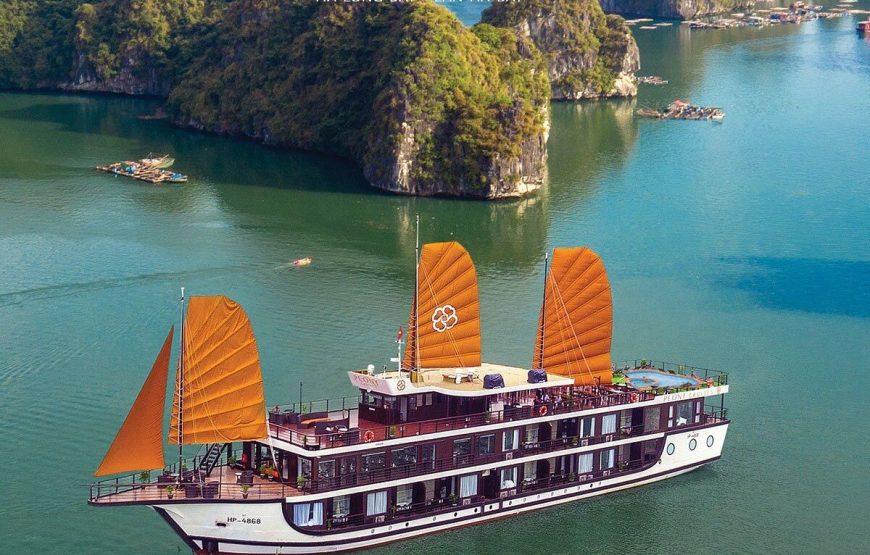 Peony Cruise