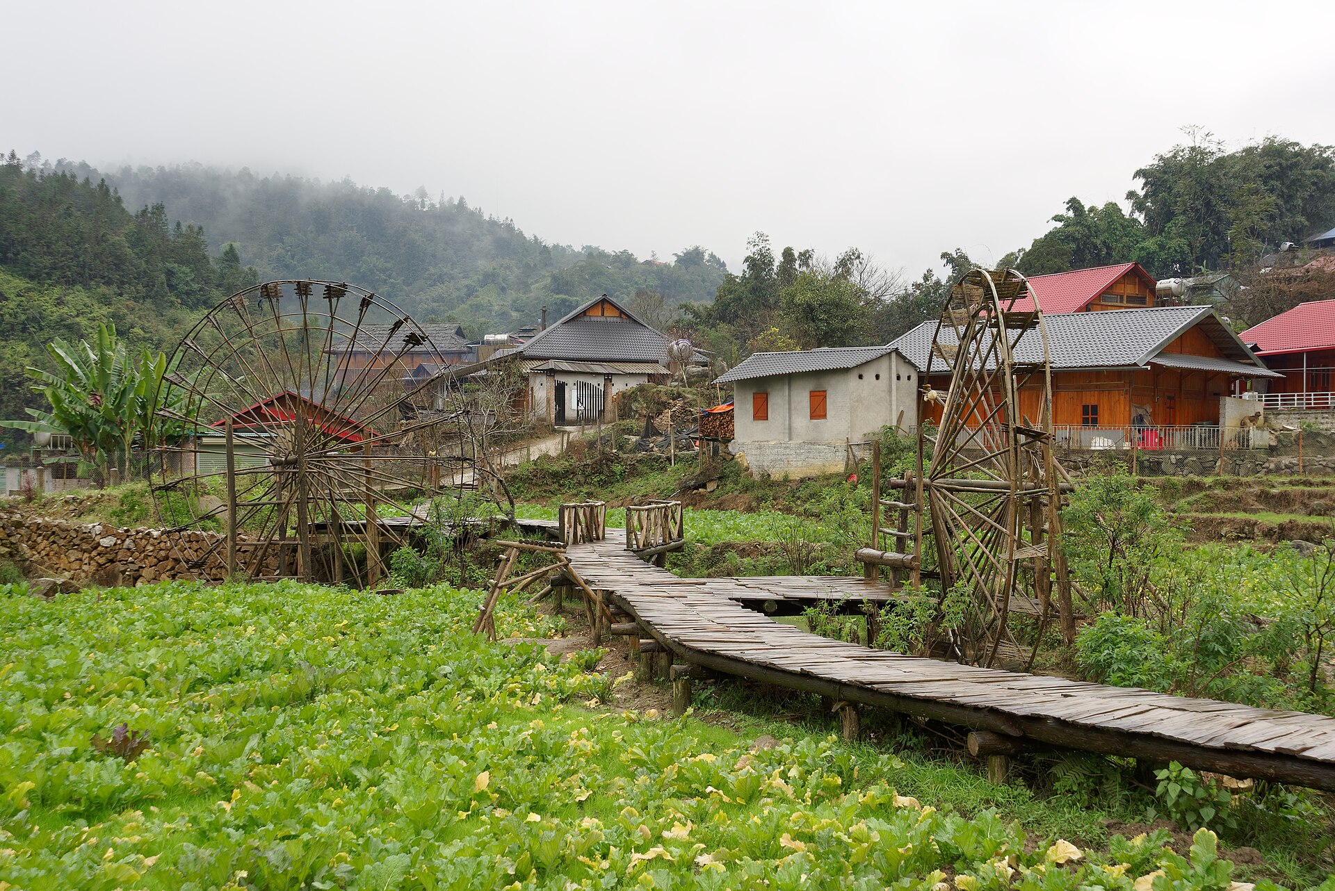 <span>Day 10</span> Cat Cat village and drive to Hanoi