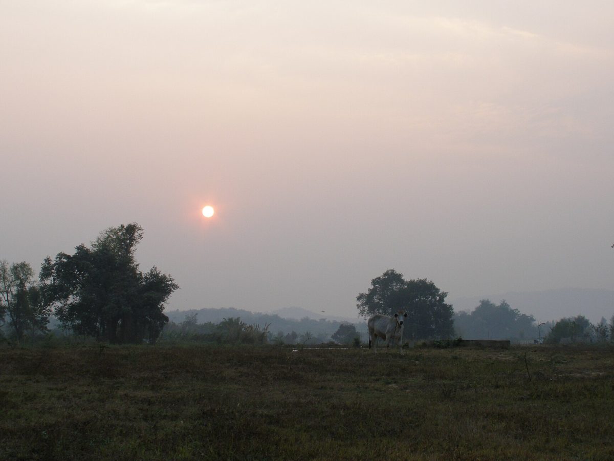 Chiang Saen