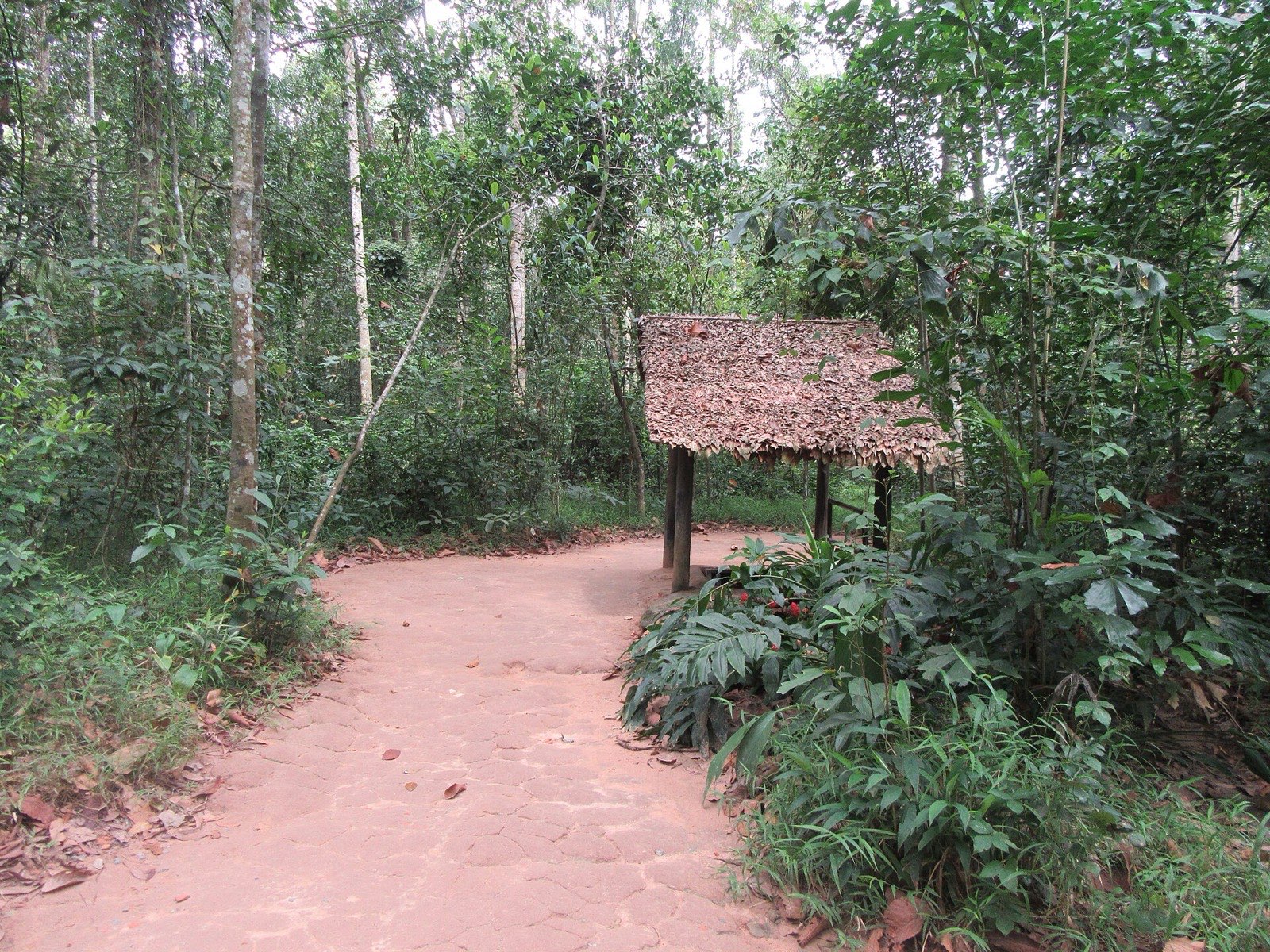 Waldweg auf dem Gelände der Cu-Chi-Tunnel