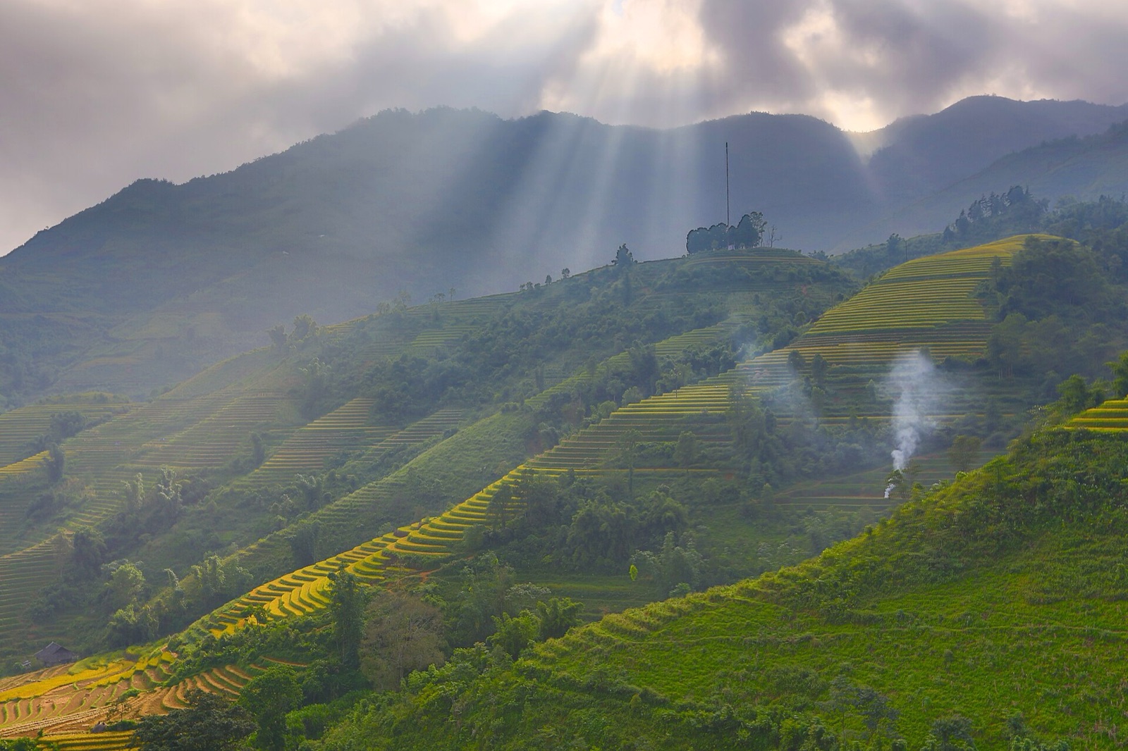 Rice terraces at Trung Chai near Sapa, northern Vietnam